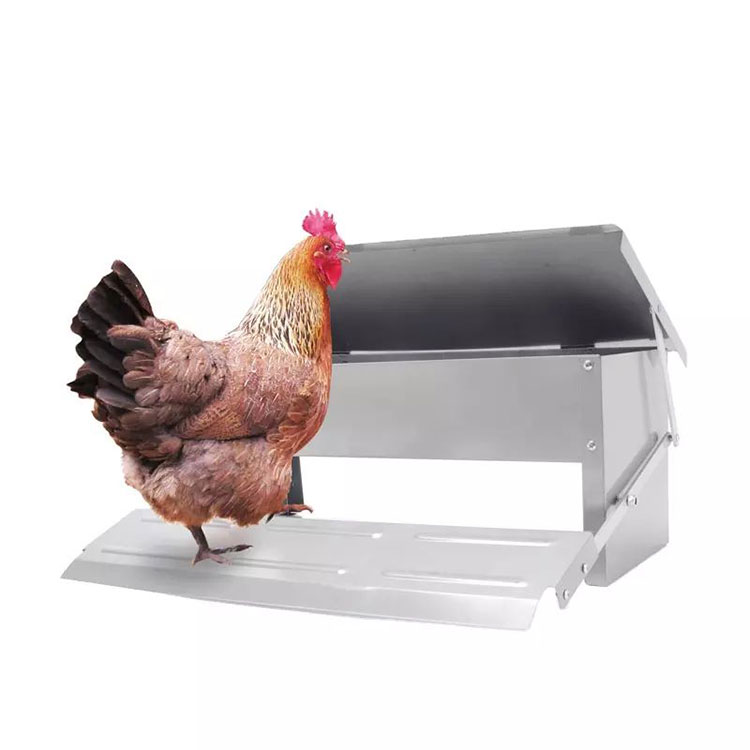 Pemakan Ayam Logam Automatik 6.6LB