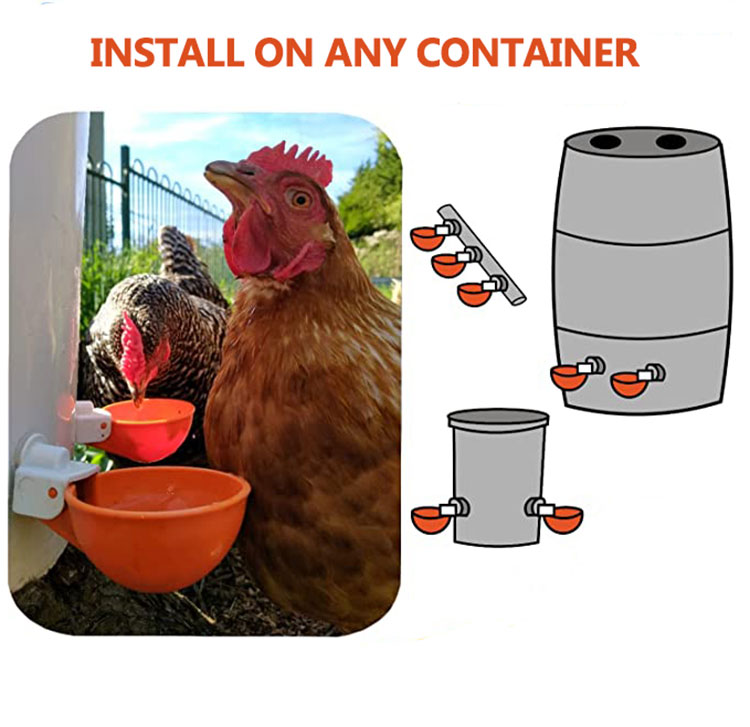 Large Automatic Chicken Waterer Cups Poultry Drinker Kit