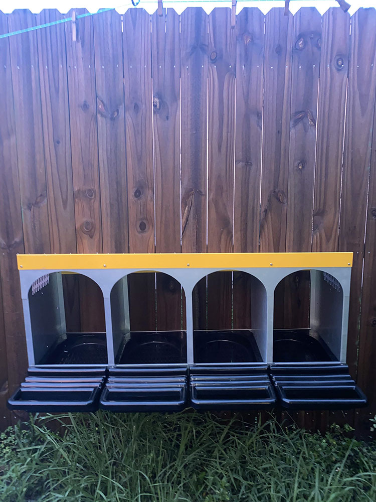 Roll-Out 4-Compartment Chicken Nesting Box
