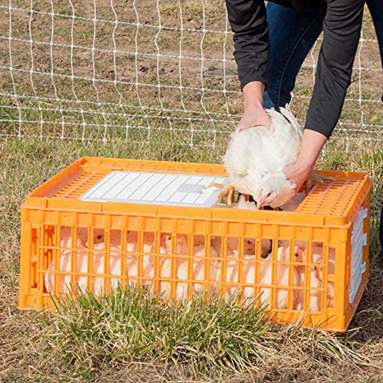 Poultry Carrier Crate for Chickens 3 Doors