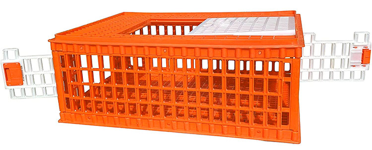 Poultry Carrier Crate for Chickens 3 Doors