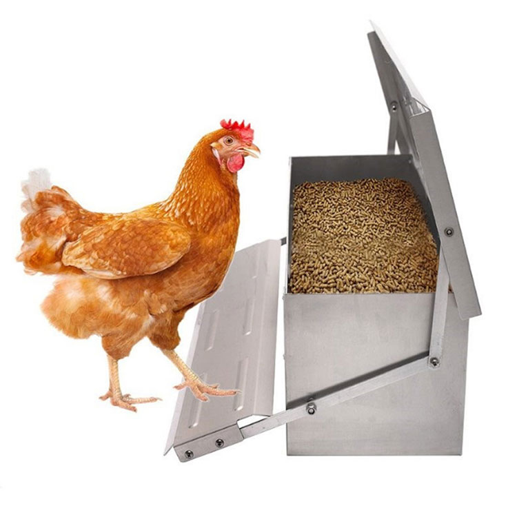 Automatic Metal Poultry Feeder 6.6LB