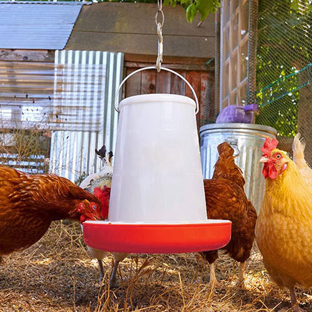Poultry Feeder with Legs 5 KG