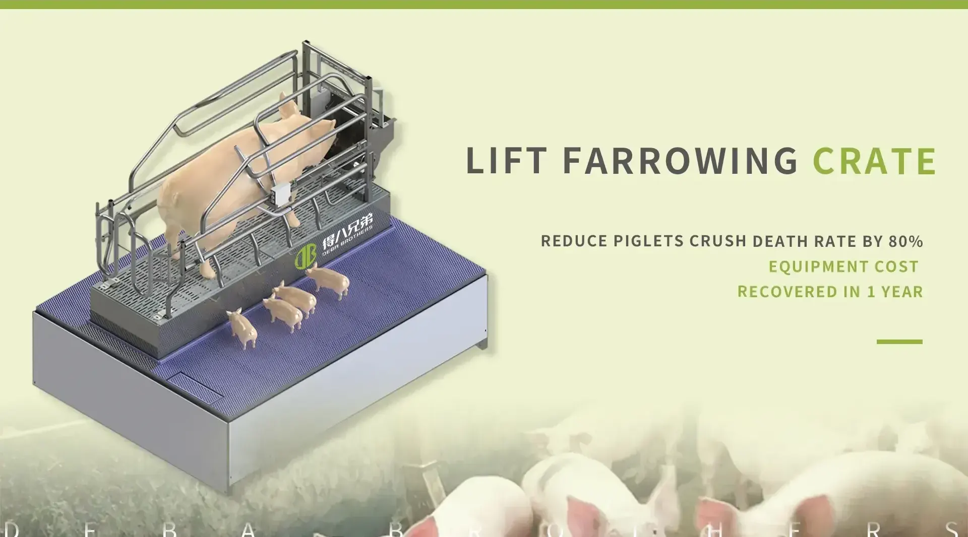 Txinako Lift Farrowing Crate Factory