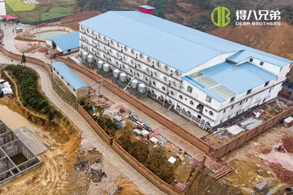 ãProjet à plusieurs étagesãHunan Shaoyang Multi Storey 3600 ferme de truies