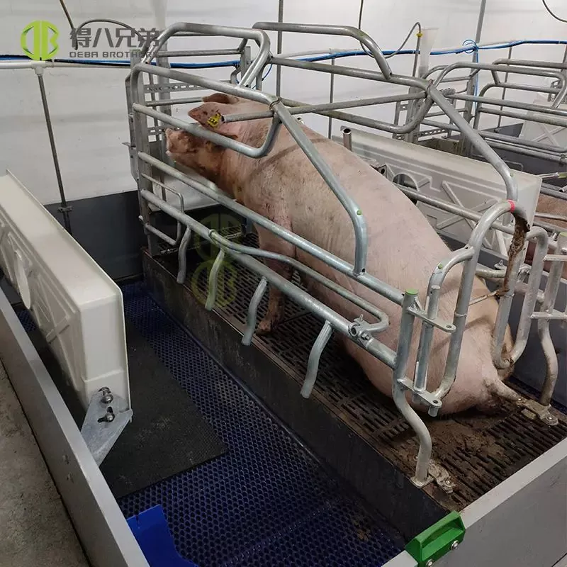 Lift Farrowing Crate