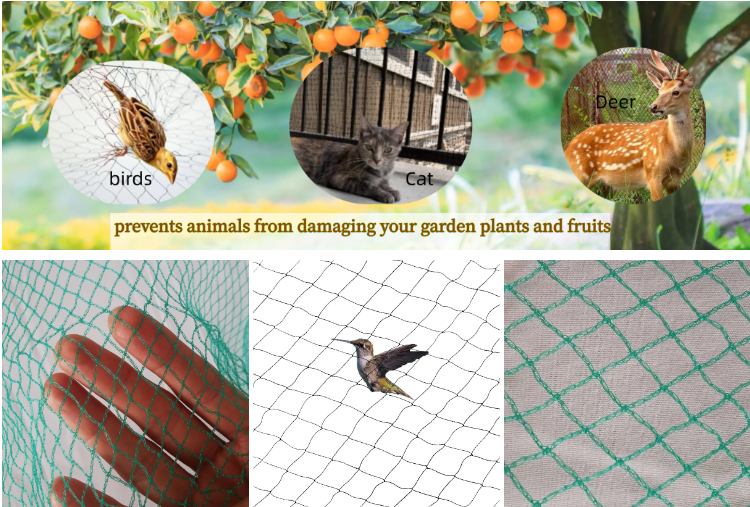 How anti bird nets prevent birds from eating fruit trees? 