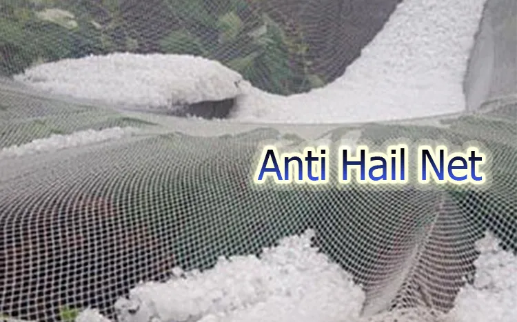 Feidhm Anti Hail Net