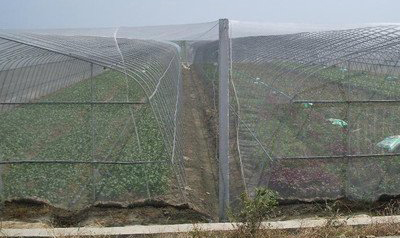 Anti frost nets play a great role in environmental protection