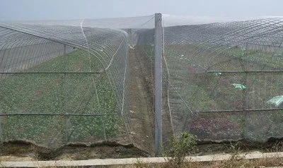 Malaki ang papel na ginagampanan ng mga anti frost net sa pangangalaga sa kapaligiran