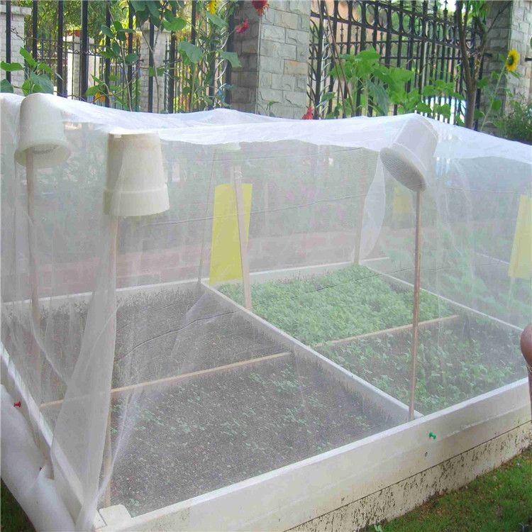 Saklaw ng aplikasyon at epekto ng insect control net sa mga greenhouse