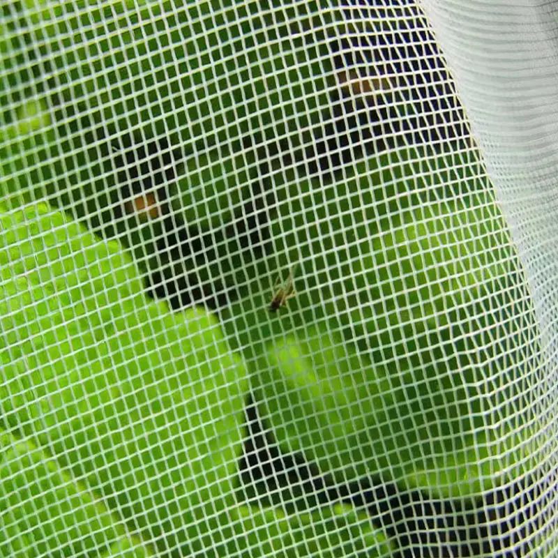 Зошто треба да се користи мрежа против инсекти во стаклена градина?
