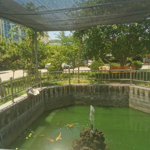 Maganda at praktikal na fishpond sunshade net