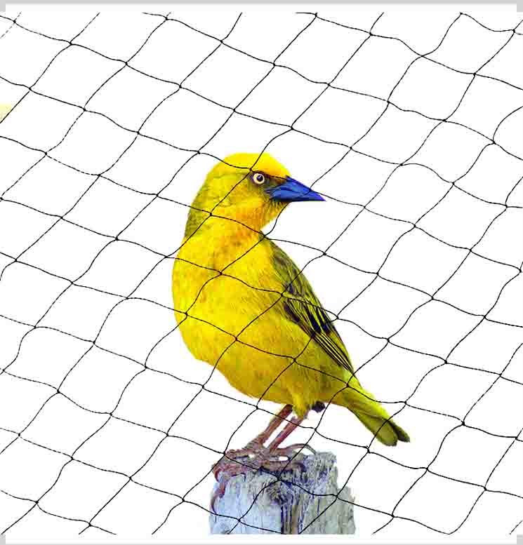 Can The Bird Netting Be Reused Or Recycled?