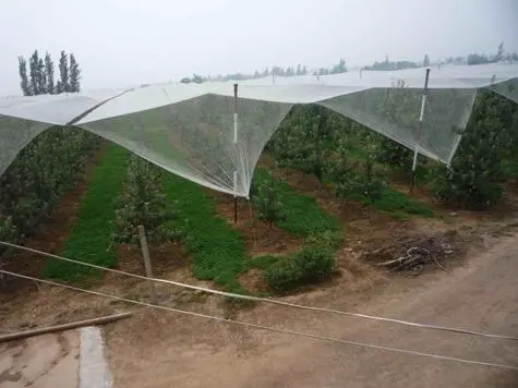 Jaring Anti Hujan Es Plastik HDPE