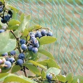 এন্টি বার্ড প্রোটেকশন নেট