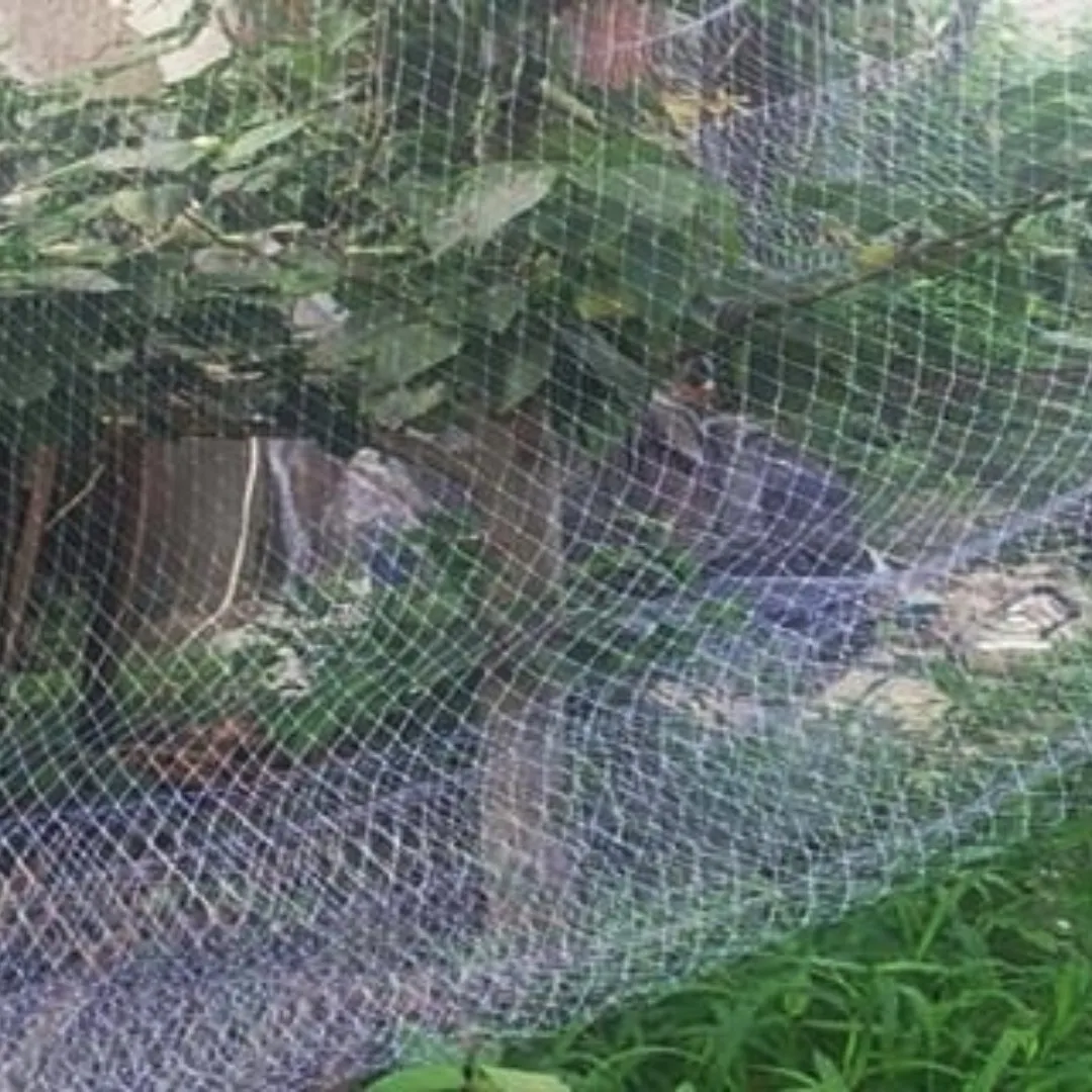 Bird Netting for Garden