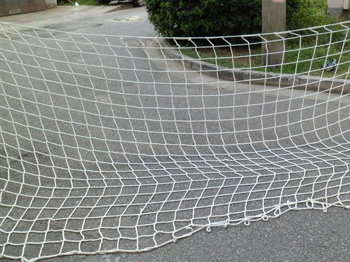 Cantilever Safety Net