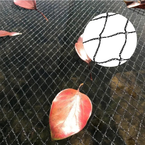 Διχτυωτό δίχτυ πουλιών λιμνών ψαριών