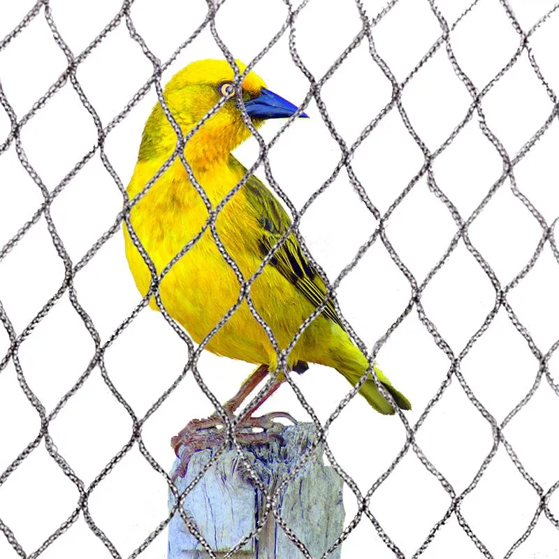 ဥယျာဉ် Anti-bird Net