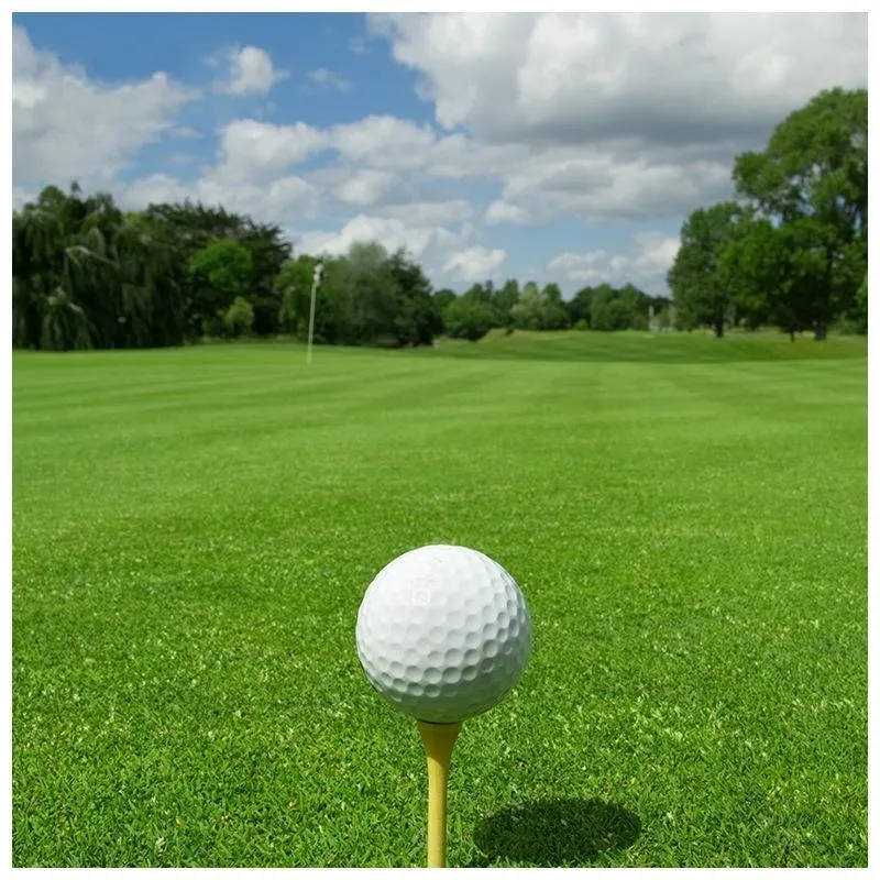 Golf Course Artificial Grass