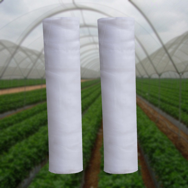 HDPE Anti Insect Net