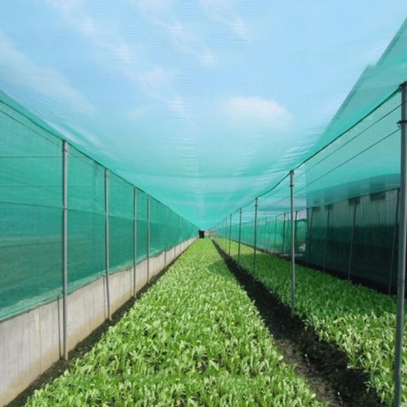 UV Anti Insects Net