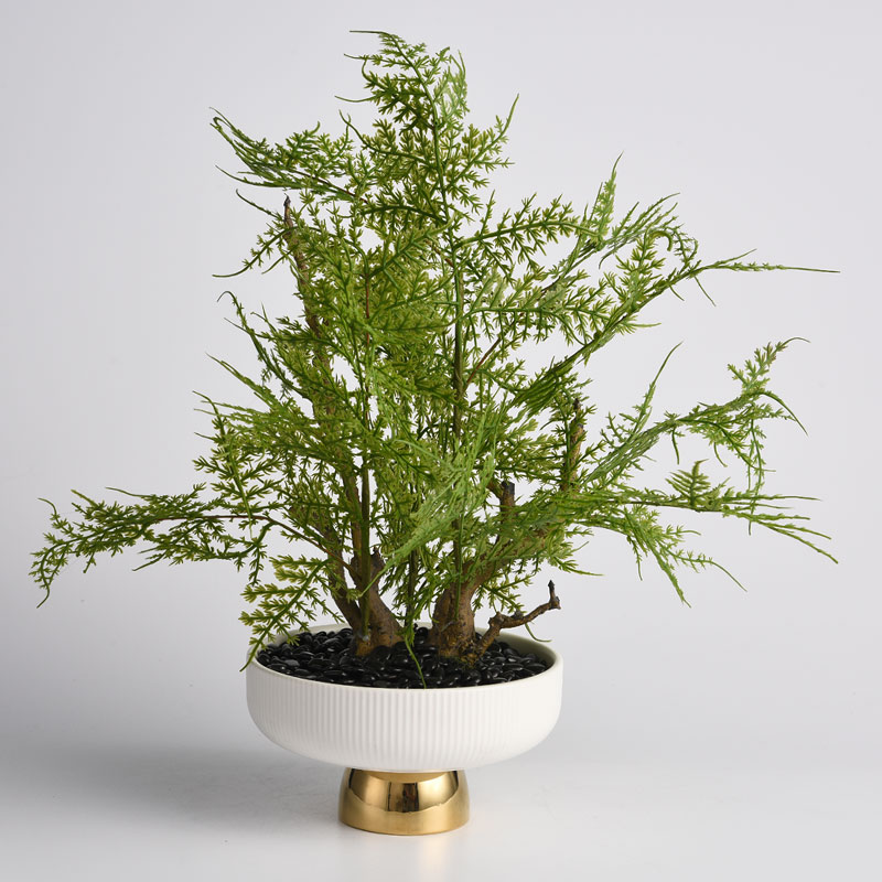 Simulated asparagus fern plants indoor decoration soft furnishings