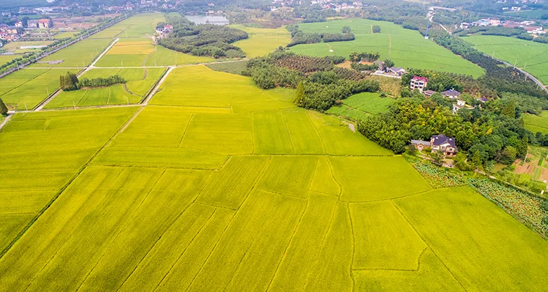 A kézi drótkötél-csörlő szerepe a mezőgazdaságban