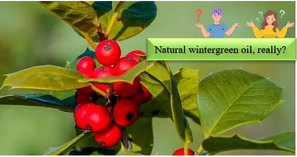 Wintergreen oil - How can synthetic ingredients be identified and tested for naturalness?