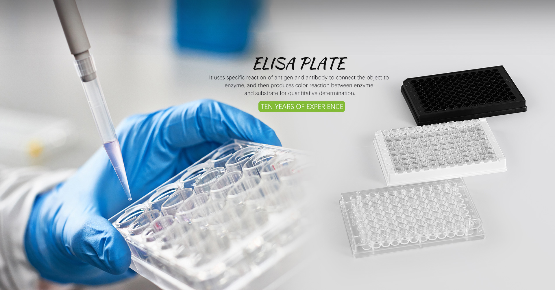 China Elisa Plate Manufacturers and Factory