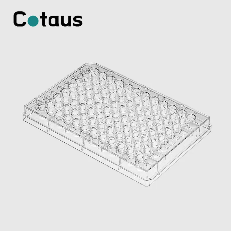 Elisa Plate pristatymas