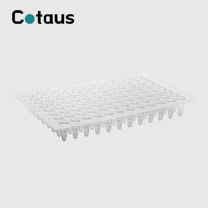 Placa PCR transparente sen faldón de 96 pozos de 0,1 ml