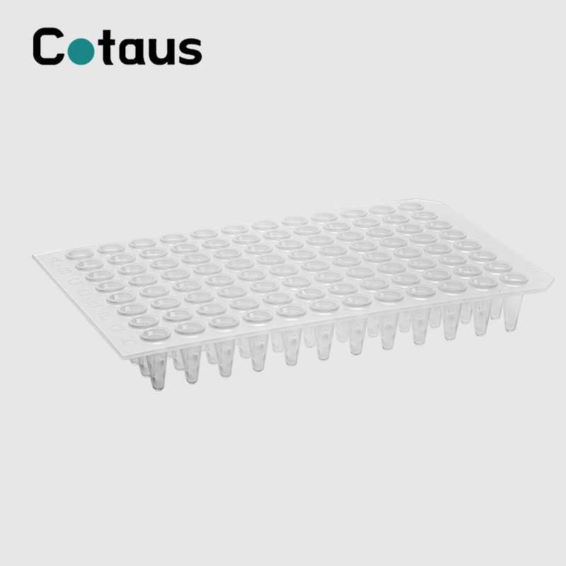 Placa PCR transparente sen faldón de 96 pozos de 0,2 ml