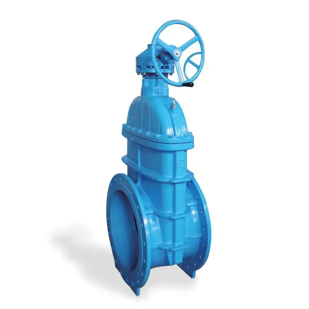 Large Size Resilient Seat Gate Valve