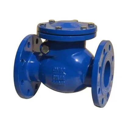 Swing Check Valve