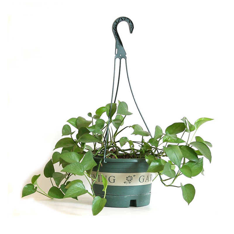 Hanging Planter with Tray - 0 