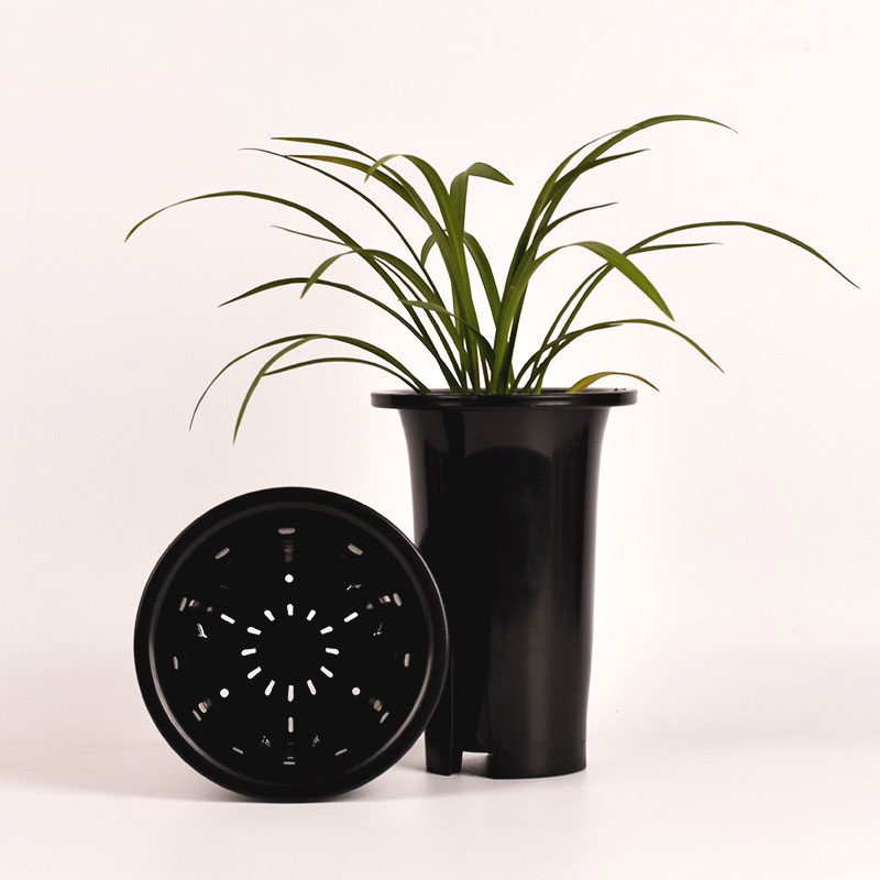 Orchid Outdoor Flower Pot - 0 