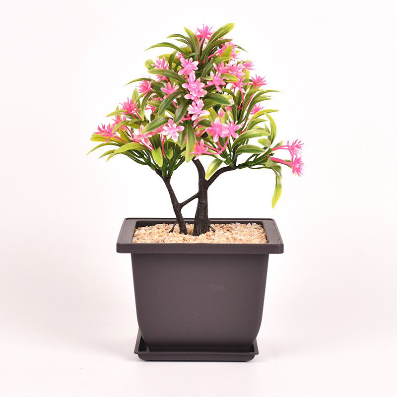 Ristkülikukujuline bonsai pott - 1