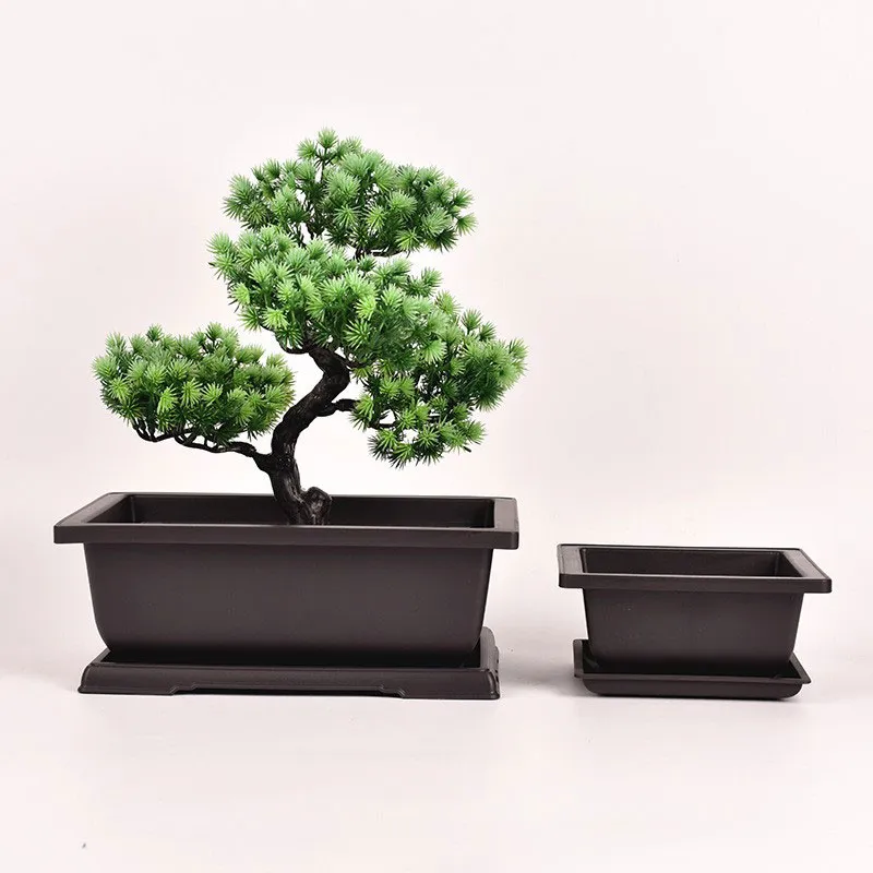 Suorakaide Bonsai Pot: Täydellinen lisä vihreään nurkkaan