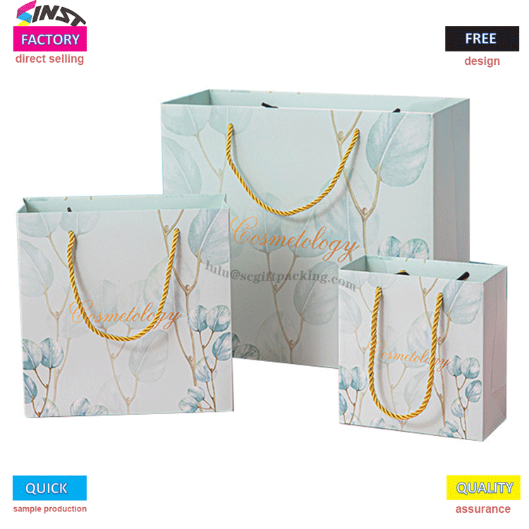 Printed Paper Bags with String for Fashion Dress