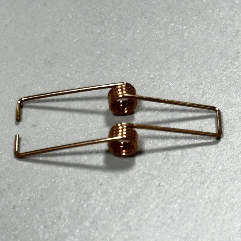 Beryllium Copper Spring