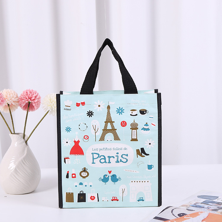 Colorful Laminated Tote Bags