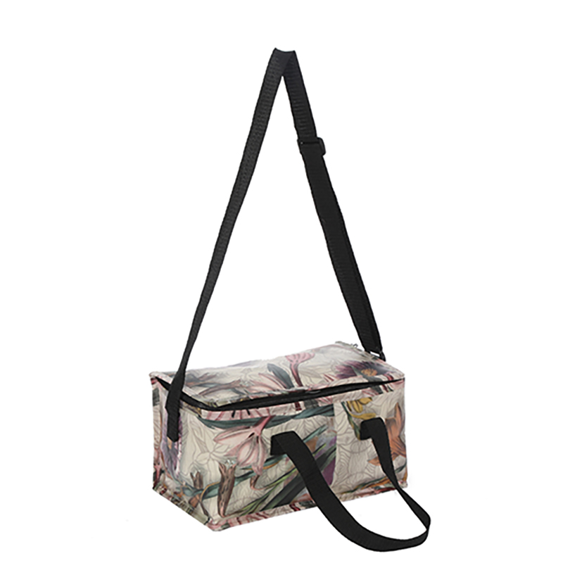 New style Lunch Cooler Bag