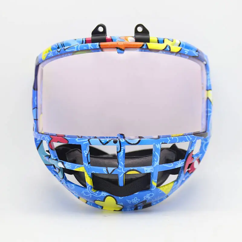 Newest Joy Junior Ice Hockey Cage with Visor