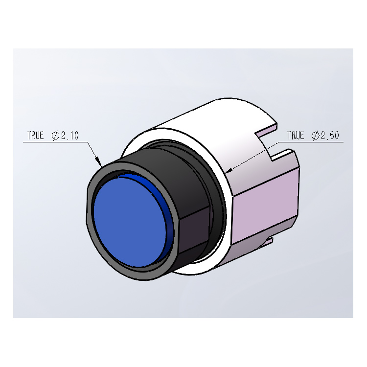 Endoscopic lens