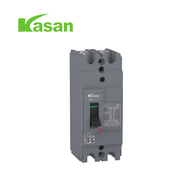 2P EZC Laser Panel Molded Case Circuit Breaker
