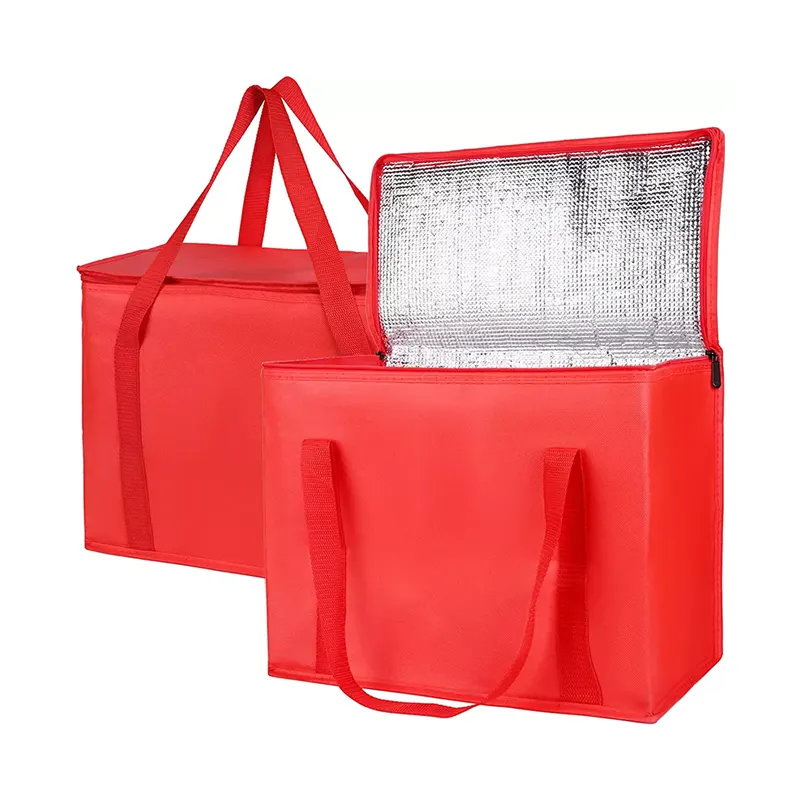Large Collapsible Insulated Bag