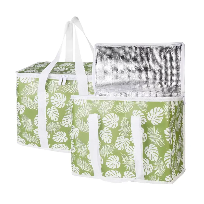Large Outdoor Insulated Bags