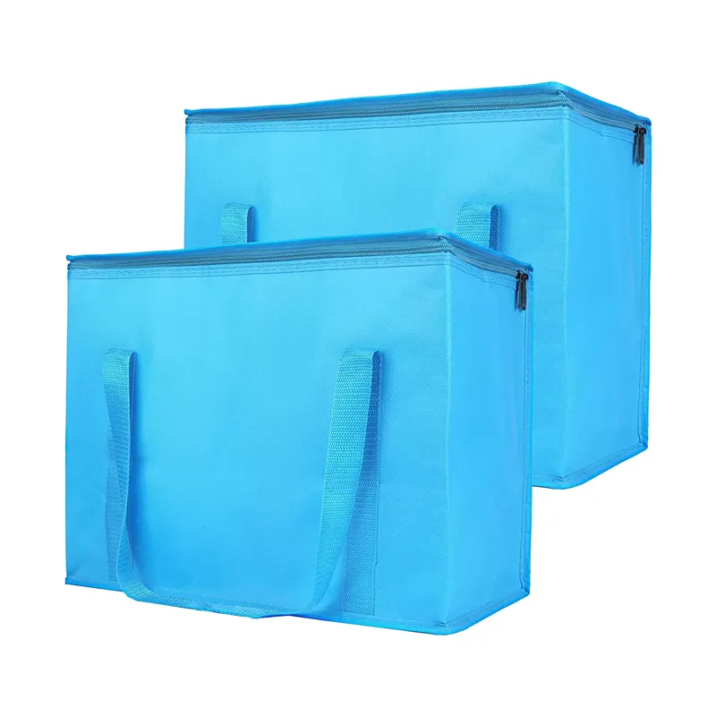 Large Reusable Insulated Bags